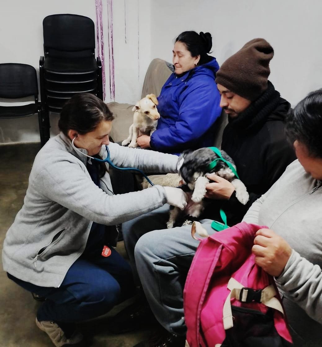 86 mascotas fueron castradas gratuitamente en el barrio San Ceferino