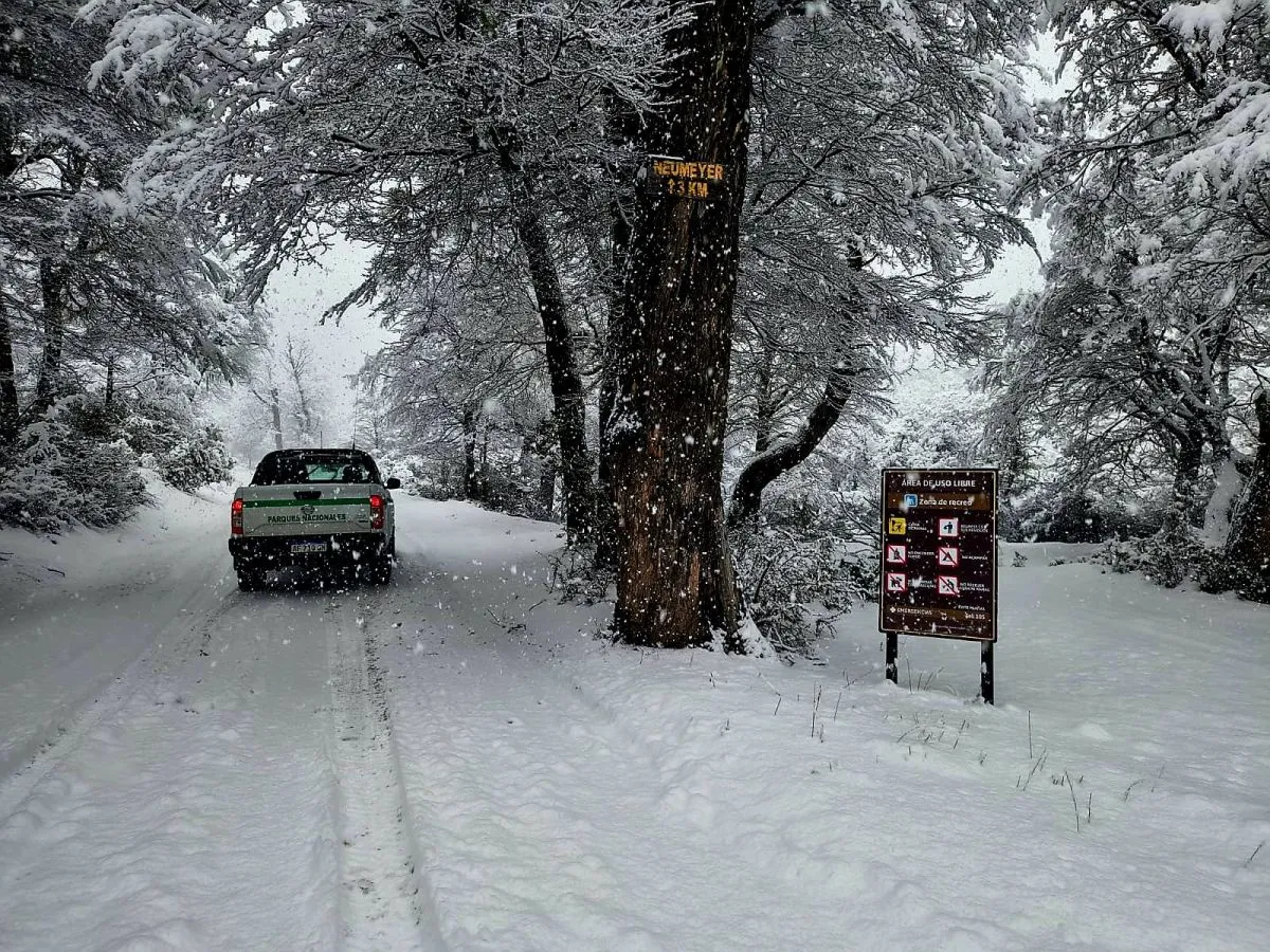 Alerta amarilla por nevadas en el Nahuel Huapi: esperan hasta 40 centímetros de nieve este jueves