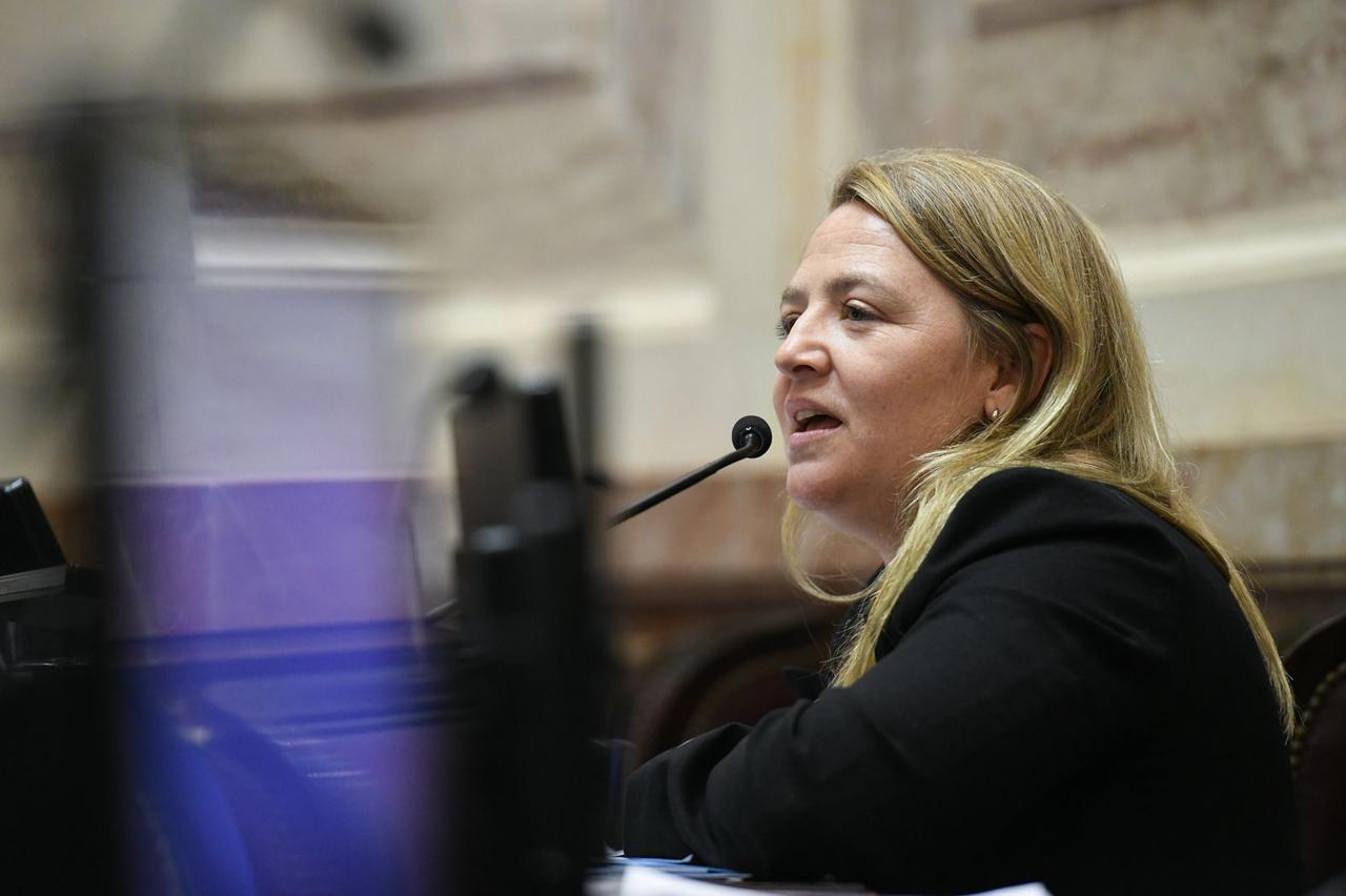 Ana Marks cuestionó el nuevo proyecto de Milei sobre Zona Fría: "Es el tercer intento de voltearlo"