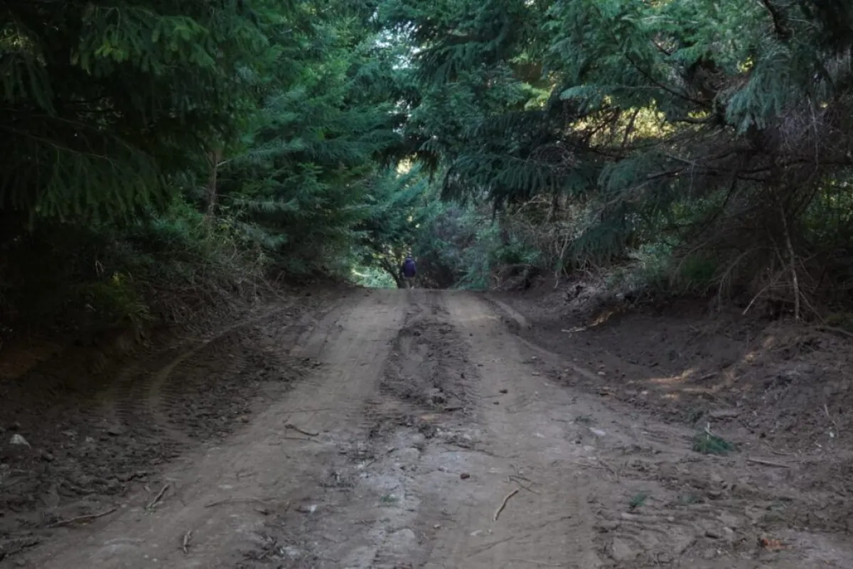 Avanzan las obras para conectar Villa Llanquihue con Villa Llao Llao a través de calle Suyai Alto