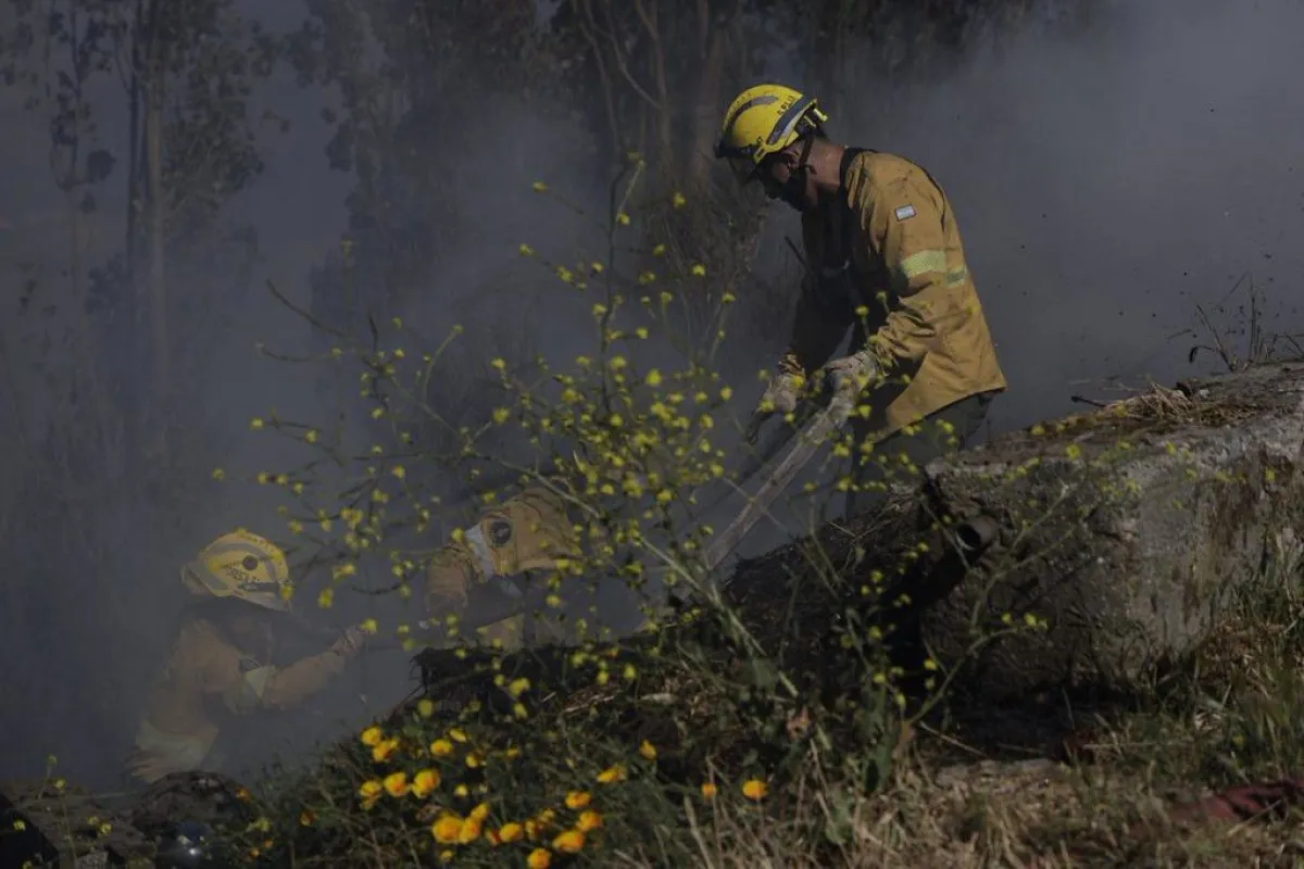 Bariloche será sede del Ciclo del Fuego: una semana de actividades sobre prevención y territorio