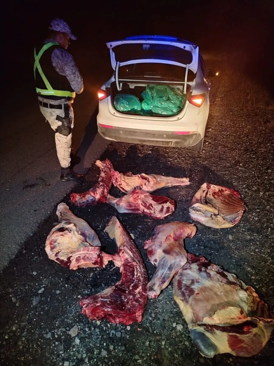 Brigada Rural decomisó 180 kilos de carne bovina en operativo sobre Ruta 23