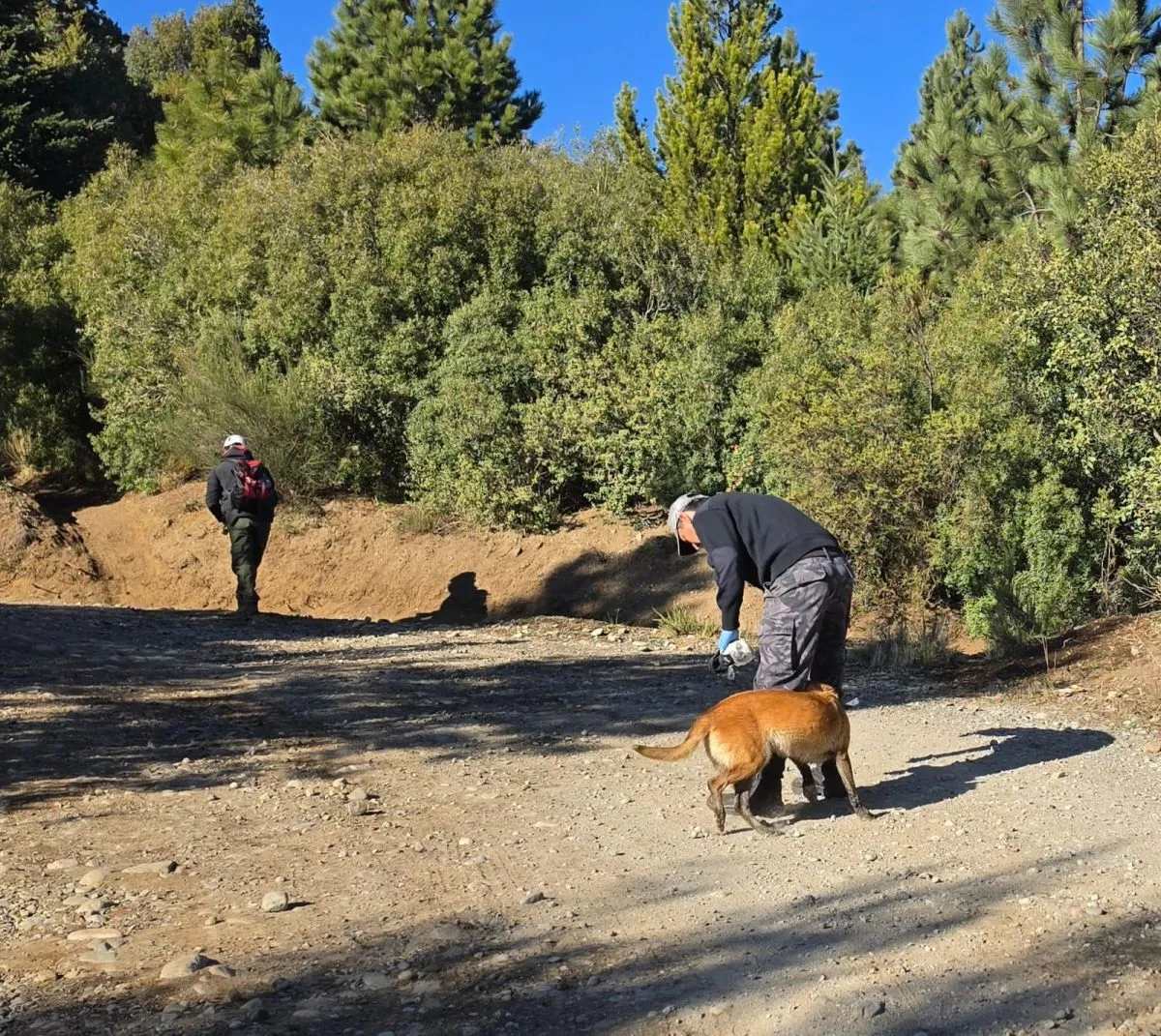 Buzos de Prefectura se sumaron a la búsqueda de Ana Lía Corte en el arroyo Ñireco