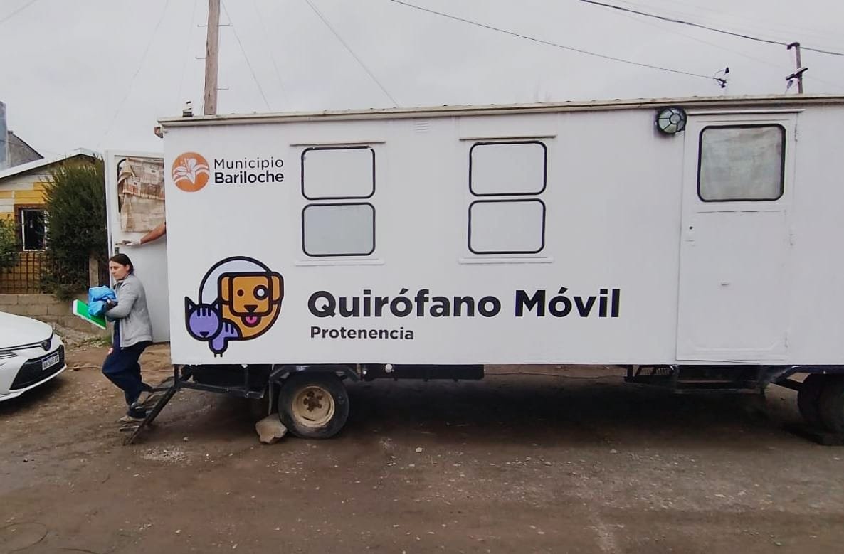 Campaña municipal de castración atendió a 94 mascotas en el barrio Arrayanes