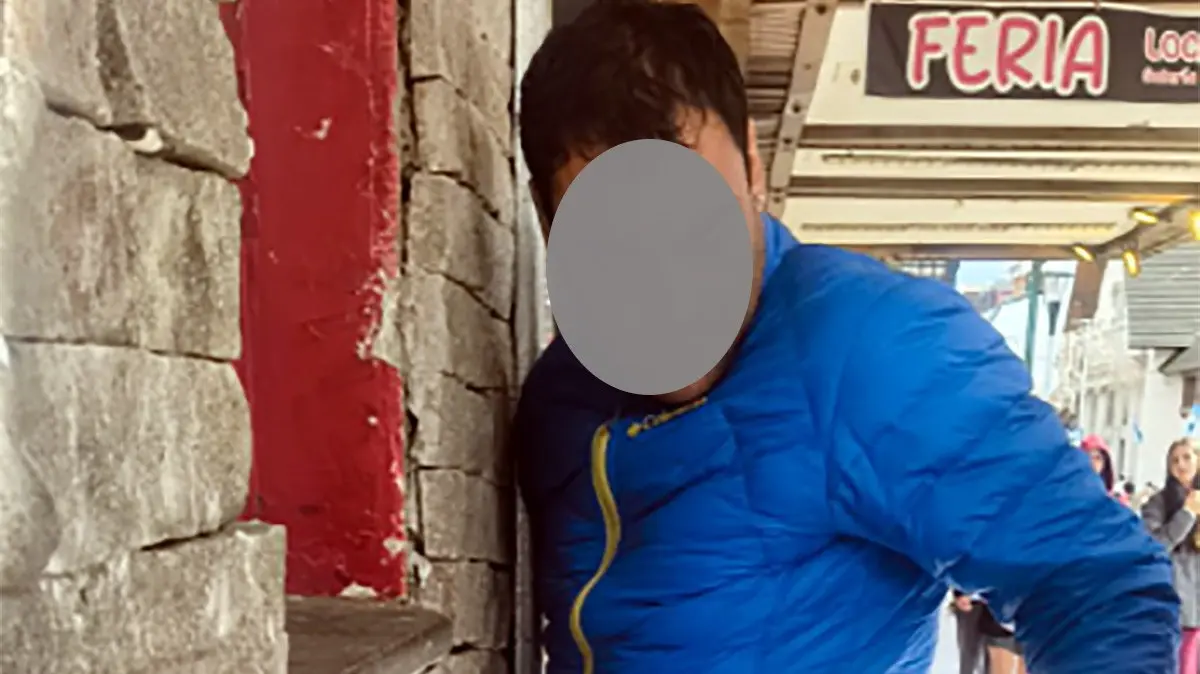 Cayó detenido por robar un televisor y una guitarra del Jardín Luna Gorda