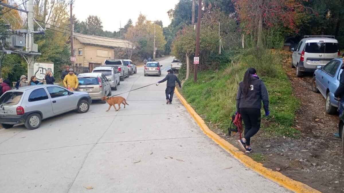 Continúa el operativo de búsqueda de una mujer desaparecida en Bariloche