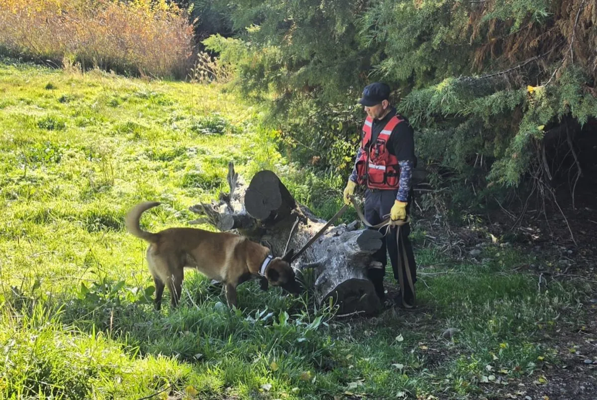 Continúa la búsqueda de Analía Corte con rastrillajes en cerro Otto y kilómetro 6