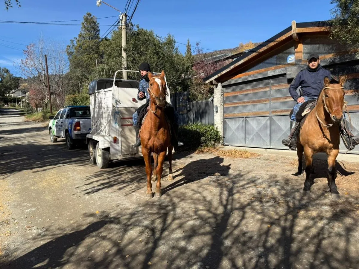 Continúa la búsqueda de Analía Corte: masivo operativo en Bariloche sin novedades sobre su paradero