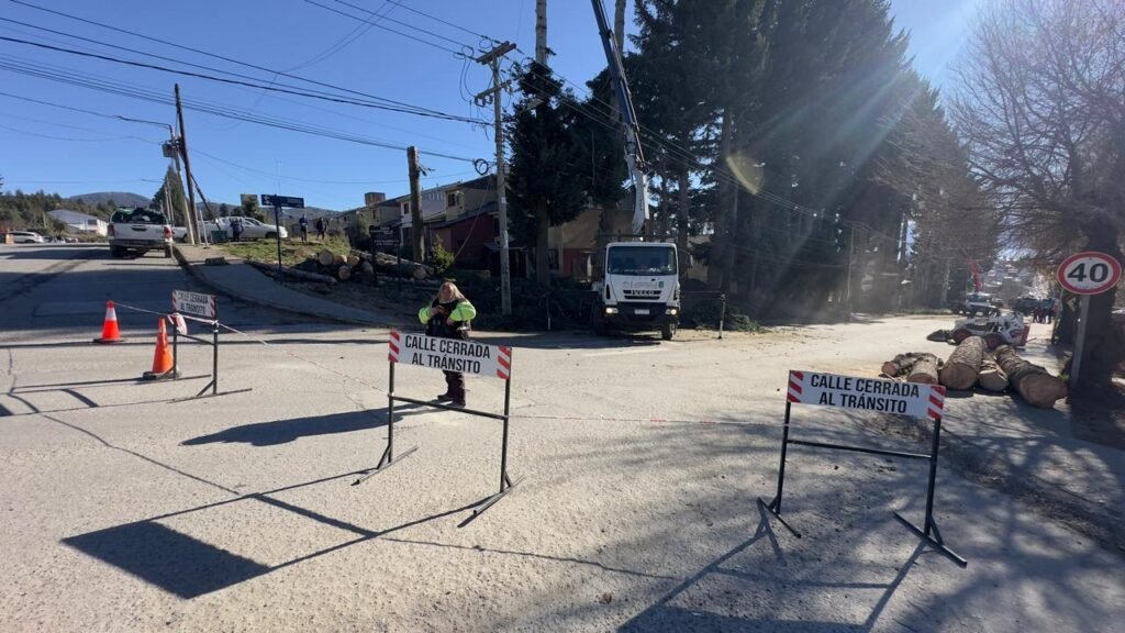 Corte total en Beschtedt por trabajos de puesta en seguridad de árboles de gran porte