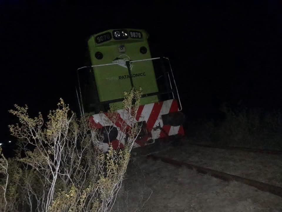 Descarriló parcialmente el Tren Patagónico tras chocar contra un bovino en pleno viaje a Bariloche