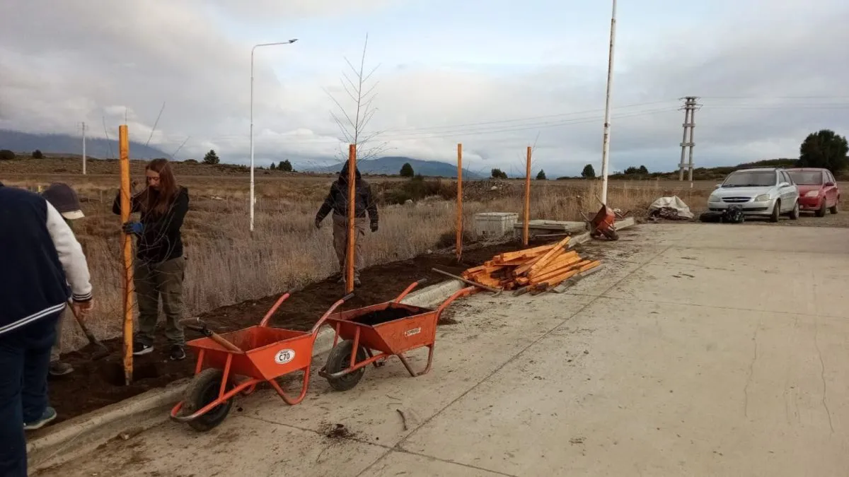 El Municipio forestará el acceso al PITBA con álamos y abedules para proteger del viento