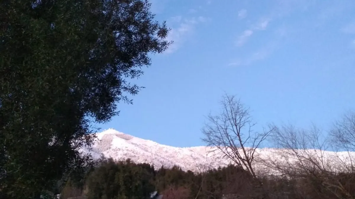 El tiempo da un respiro: sol, temperaturas agradables y lluvia hacia el jueves