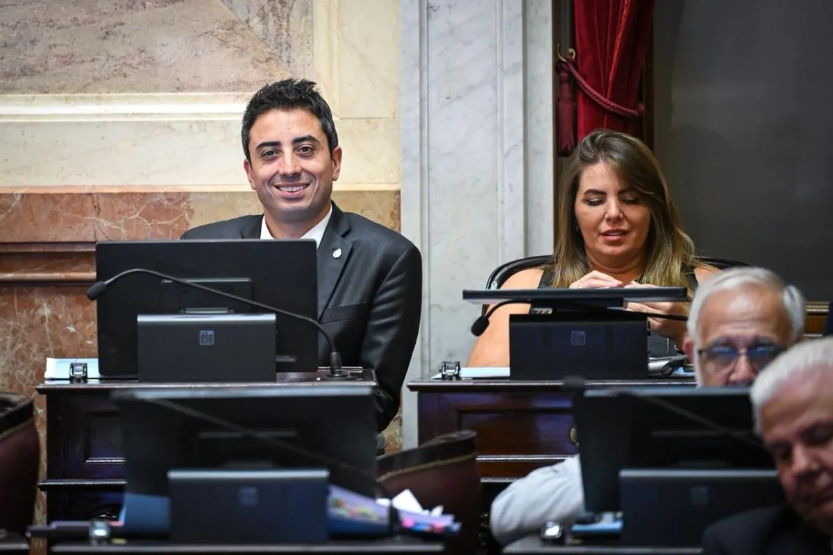 Enzo Fullone fue designado en la Comisión de Minería, Energía y Combustibles del Senado