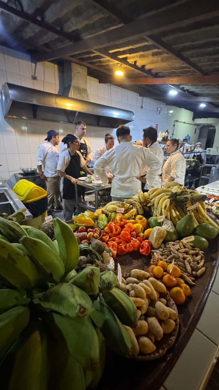 Estudiantes de gastronomía de Río Negro y Neuquén fusionan sabores patagónicos y amazónicos en Perú