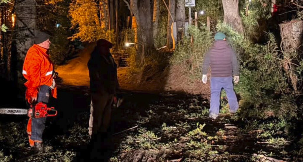 Fuertes vientos provocaron caída de árboles y ramas en varios sectores de Bariloche