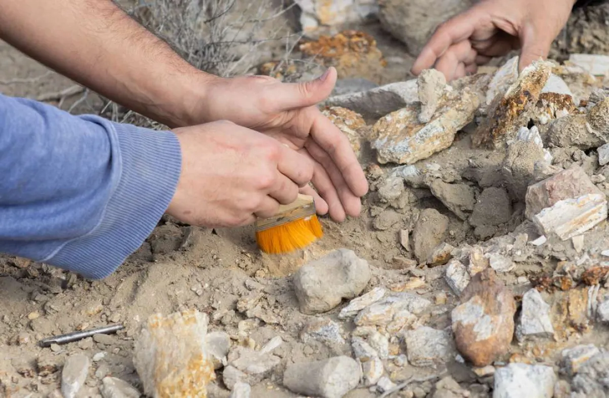 Hallazgo histórico en Río Negro: descubren yacimiento paleontológico de 70 millones de años