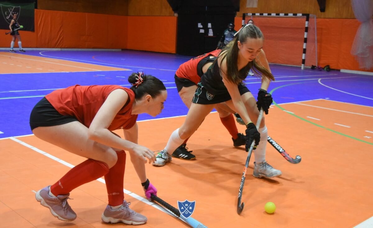 Huemules A, Lacar y Williches se suman a la pelea por el liderazgo en la Liga B de hockey