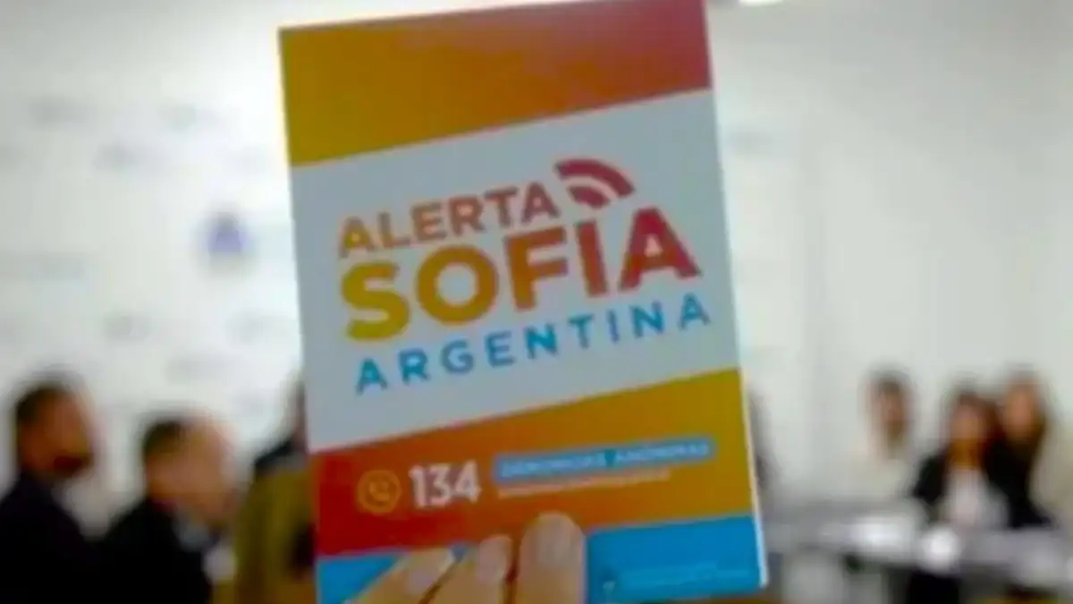 Impulsan en Río Negro la creación del sistema "Alerta Sofía" para búsqueda inmediata de menores