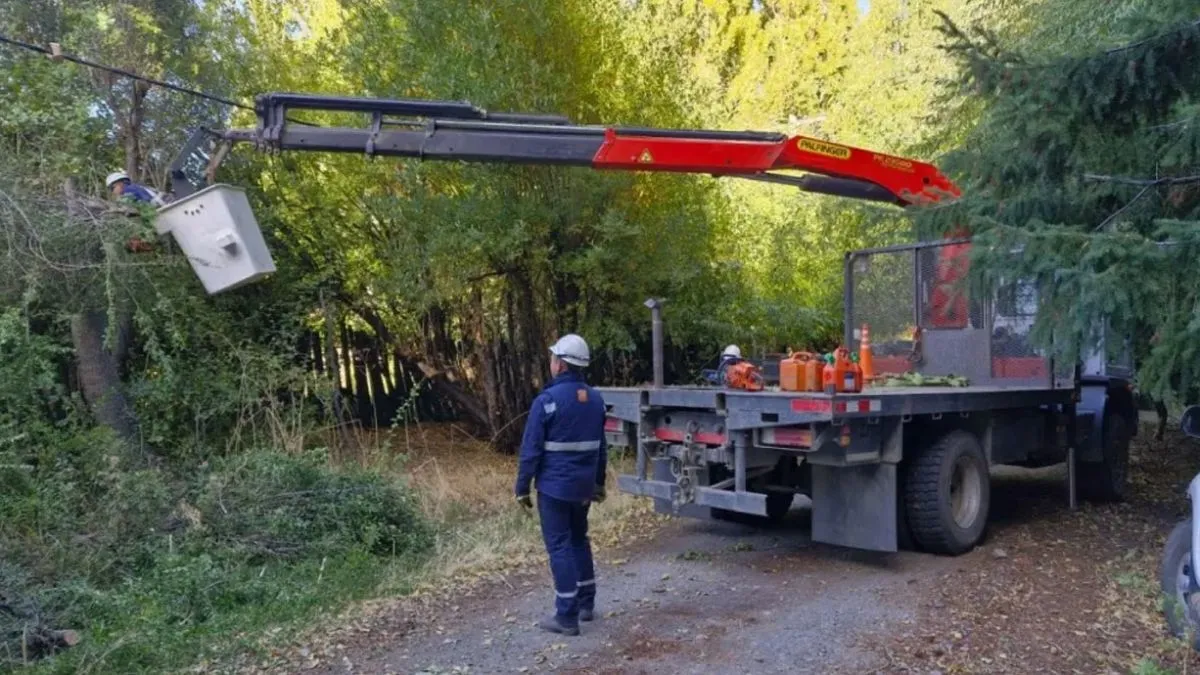 La CEB intensifica la poda y mantenimiento eléctrico para preparar la red de cara al invierno