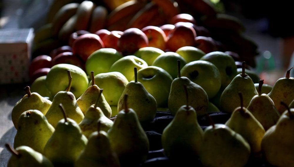 La cosecha de peras y manzanas cayó un 12% en Río Negro durante la temporada 2025-2026