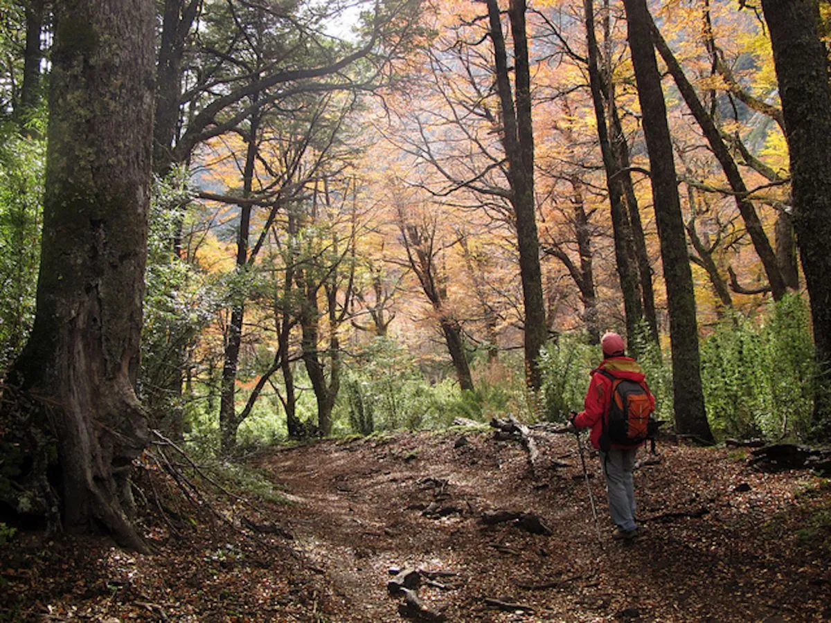 La Escuela Municipal de Montaña realizará charlas sobre equipamiento y aves patagónicas