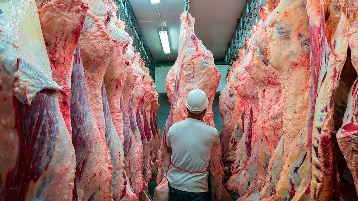La faena bovina cayó un 6% en Río Negro y Neuquén durante 2026