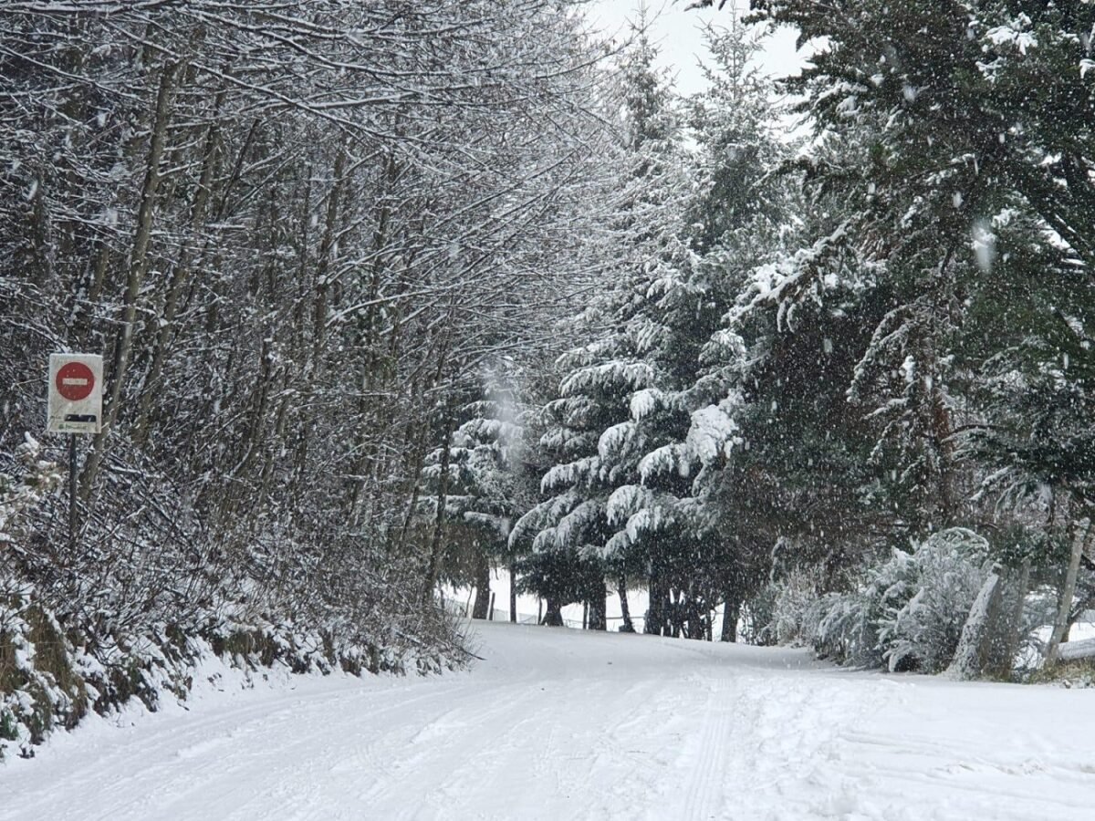 La Provincia reforzó controles sobre alojamientos tras el caos por las nevadas en Bariloche