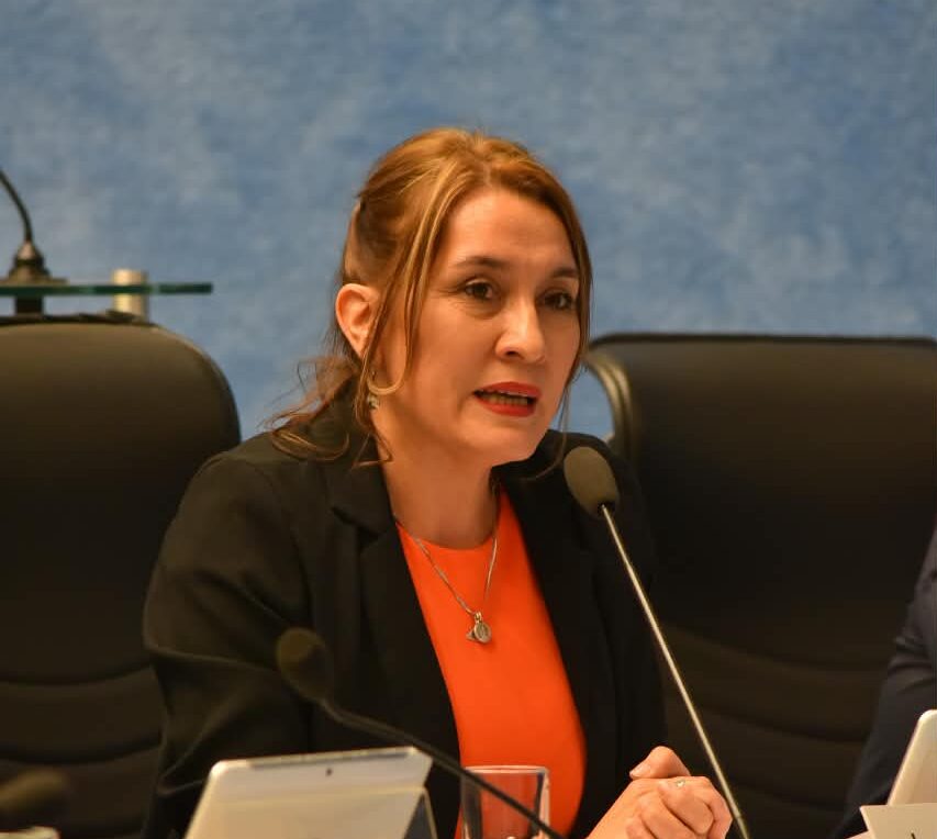 La UCR impulsa actualizar la ley de grooming ante nuevas amenazas digitales en Río Negro