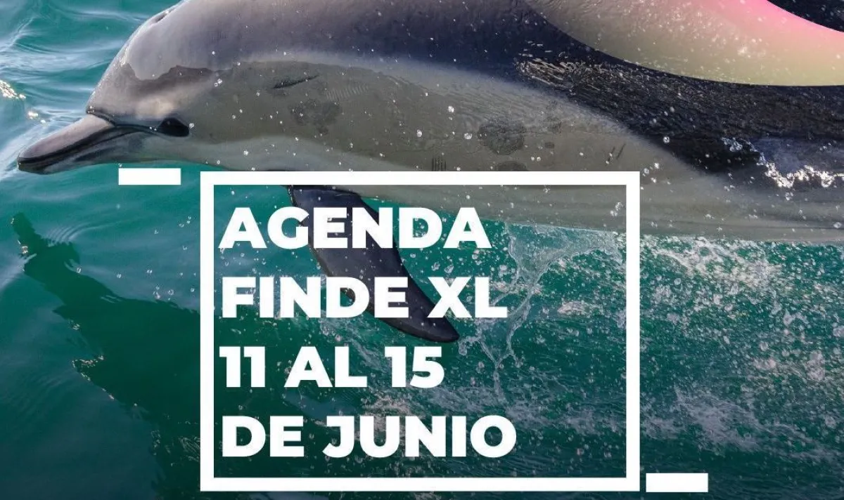 Las Grutas y San Antonio Oeste preparan un fin de semana largo con actividades mundialistas