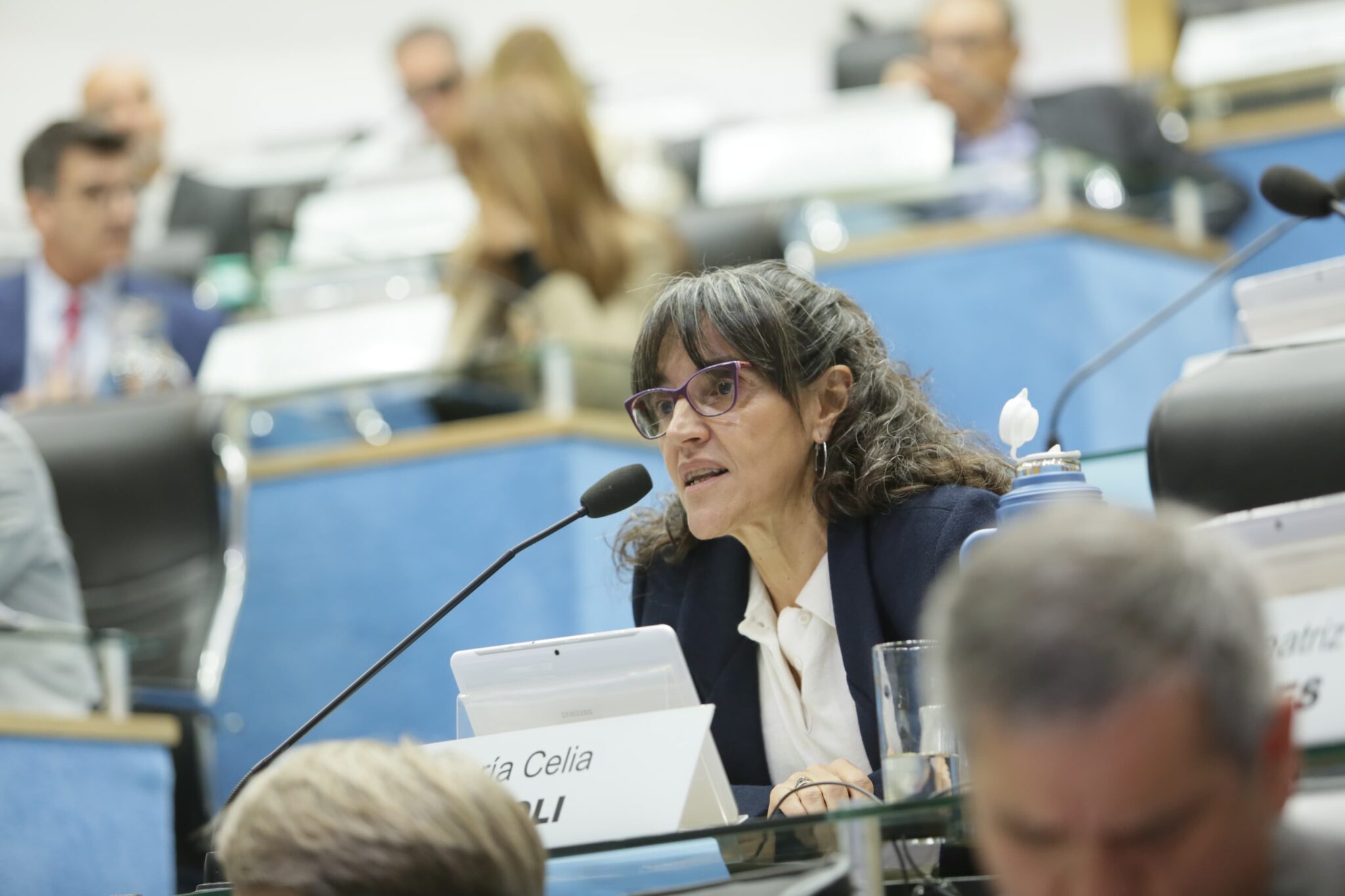 Legisladora rionegrina presenta proyecto de ley contra la discriminación