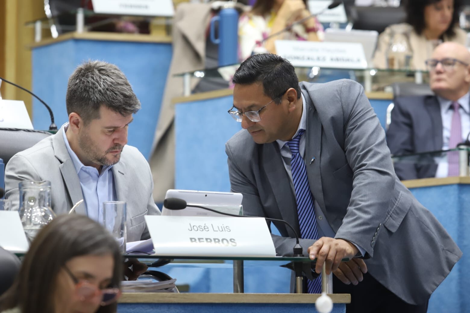 Legisladores rionegrinos impulsan proyecto para crear unidad de gestión del tren SAE-Vaca Muerta