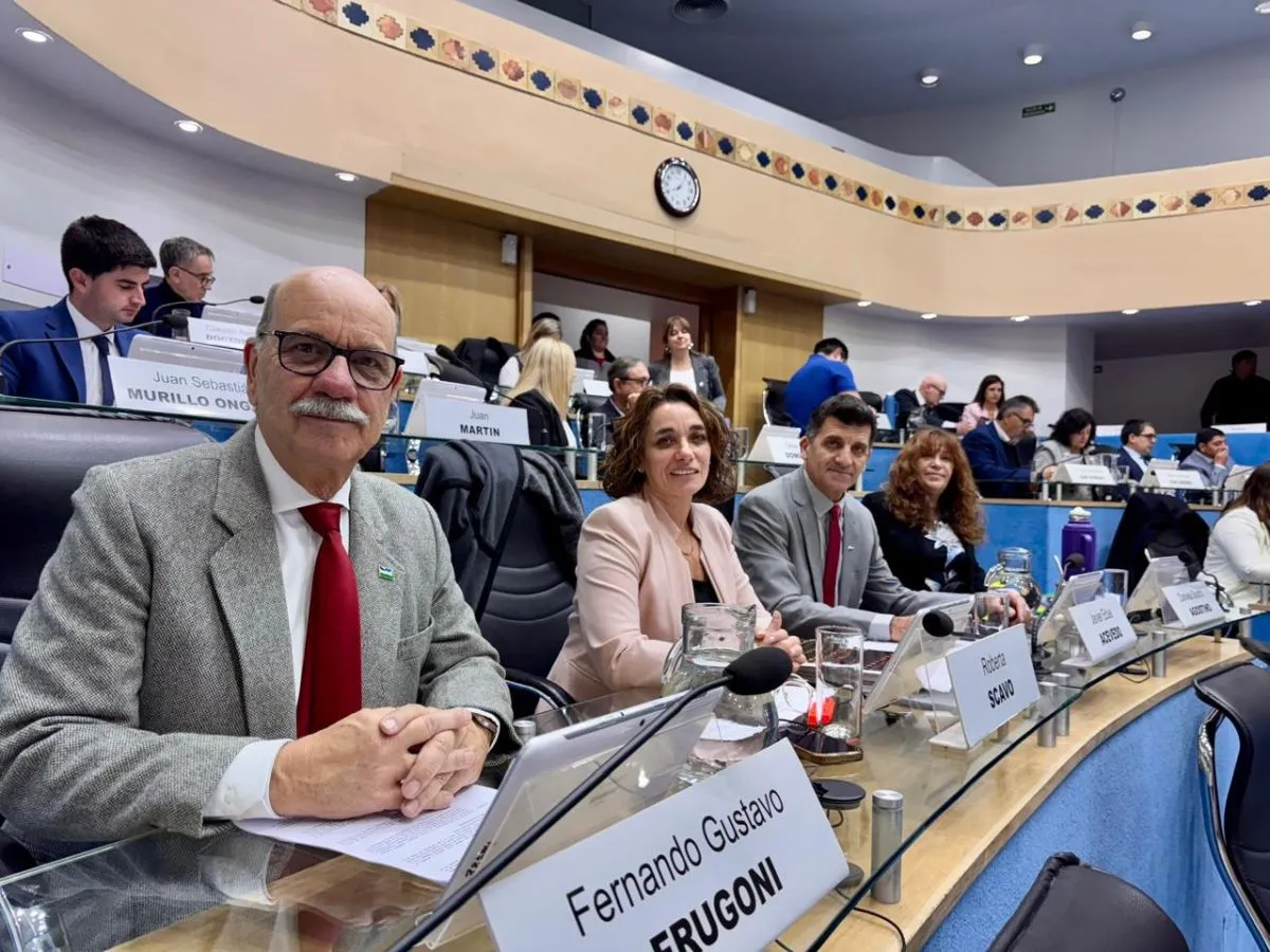 Legisladores rionegrinos reclaman a Nación que complete la implementación del RIMI para impulsar inversiones