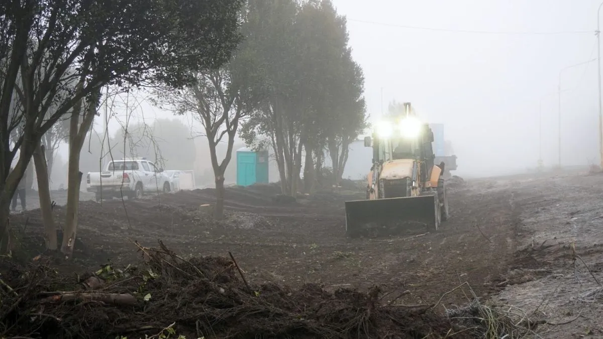 Limpieza y desmalezado en la colectora de Entre Cerros que conecta con la Ruta 82