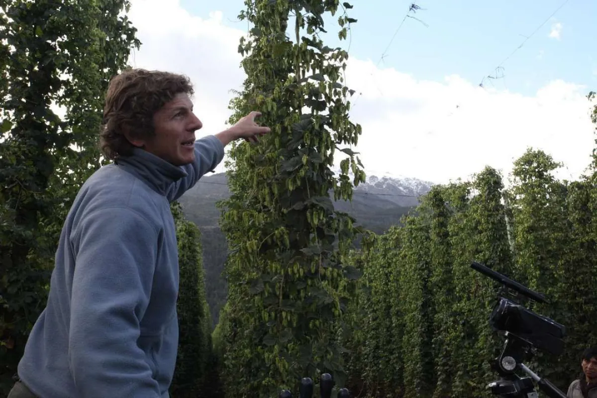 Lúpulo de El Bolsón llegó por primera vez a Inglaterra para elaborar cerveza artesanal