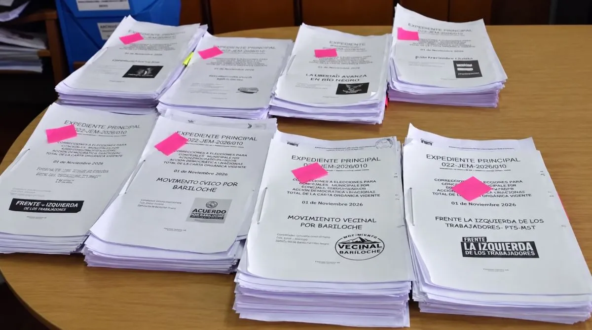Más de 115 mil electores participarán en la elección de convencionales para reformar la Carta Orgánica