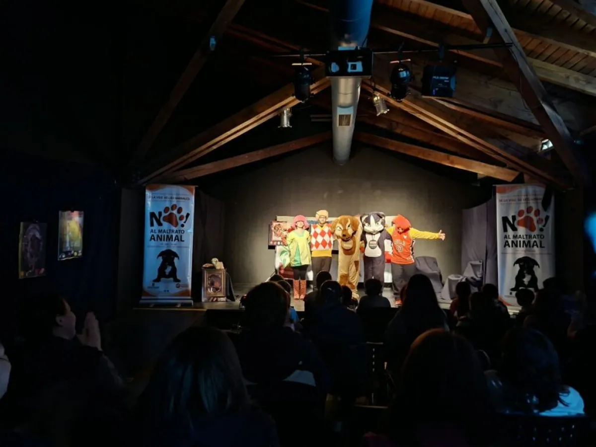 Más de 70 personas disfrutaron de "Michi y Rocky" en Puerto San Carlos: una obra para promover el cuidado animal