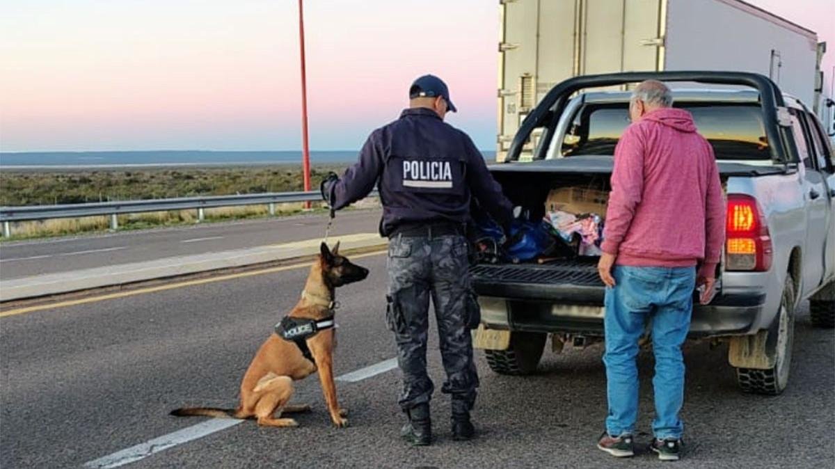 Operativo antidrogas simultáneo en toda la provincia: Bariloche fue uno de los puntos de control