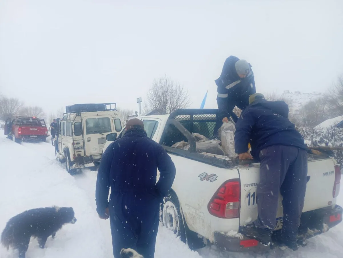 Operativo de rescate llegó hasta Arroyo Blanco para asistir a una mujer aislada por la nieve