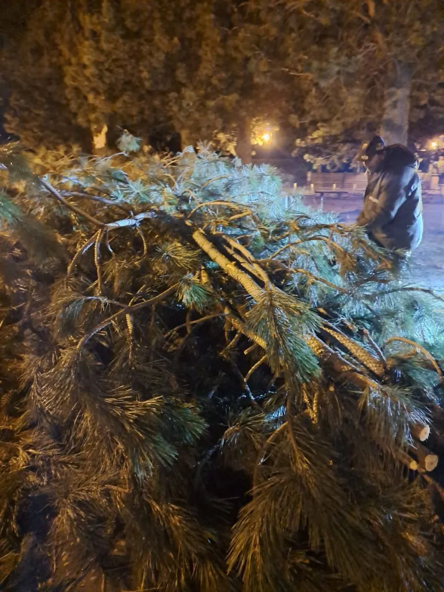 Operativo municipal nocturno por caída de árboles y prevención de hielo en Bariloche