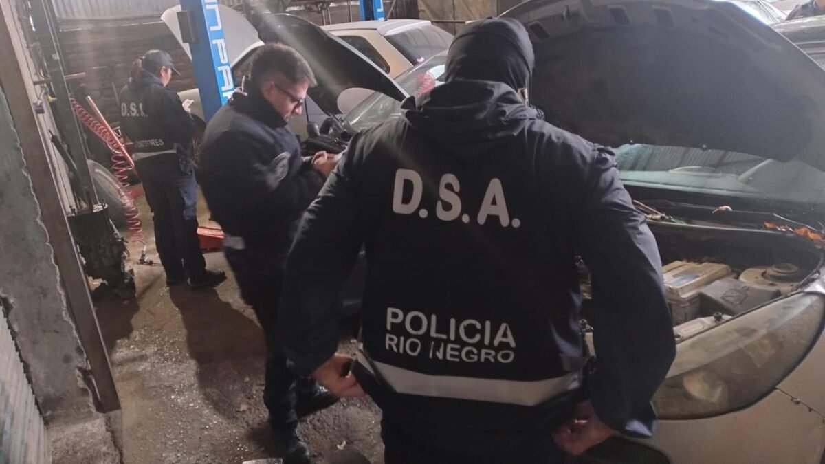 Operativo regional secuestró vehículos con documentación irregular y autopartes robadas