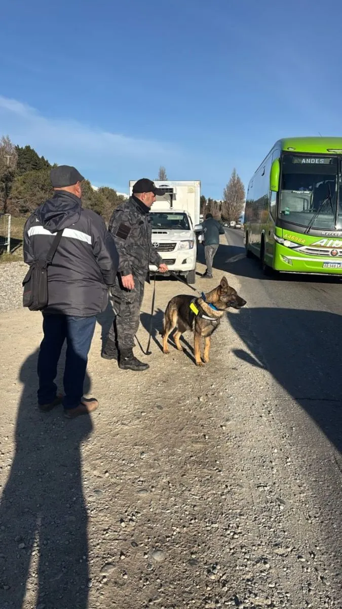 Operativos de Toxicomanías en Bariloche, San Antonio Oeste y Viedma finalizaron sin novedades