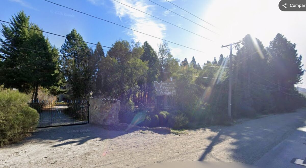 Ordenan cortar 20 pinos de más de 20 metros que ponen en riesgo una vivienda en la zona oeste