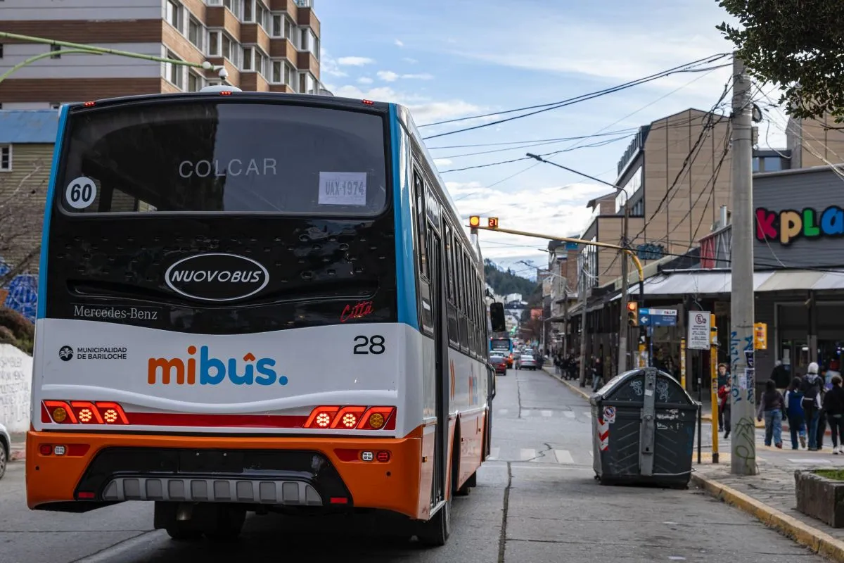 Pelea entre pasajeros en un colectivo de la Línea 21: el chofer resultó herido tras una pedrada