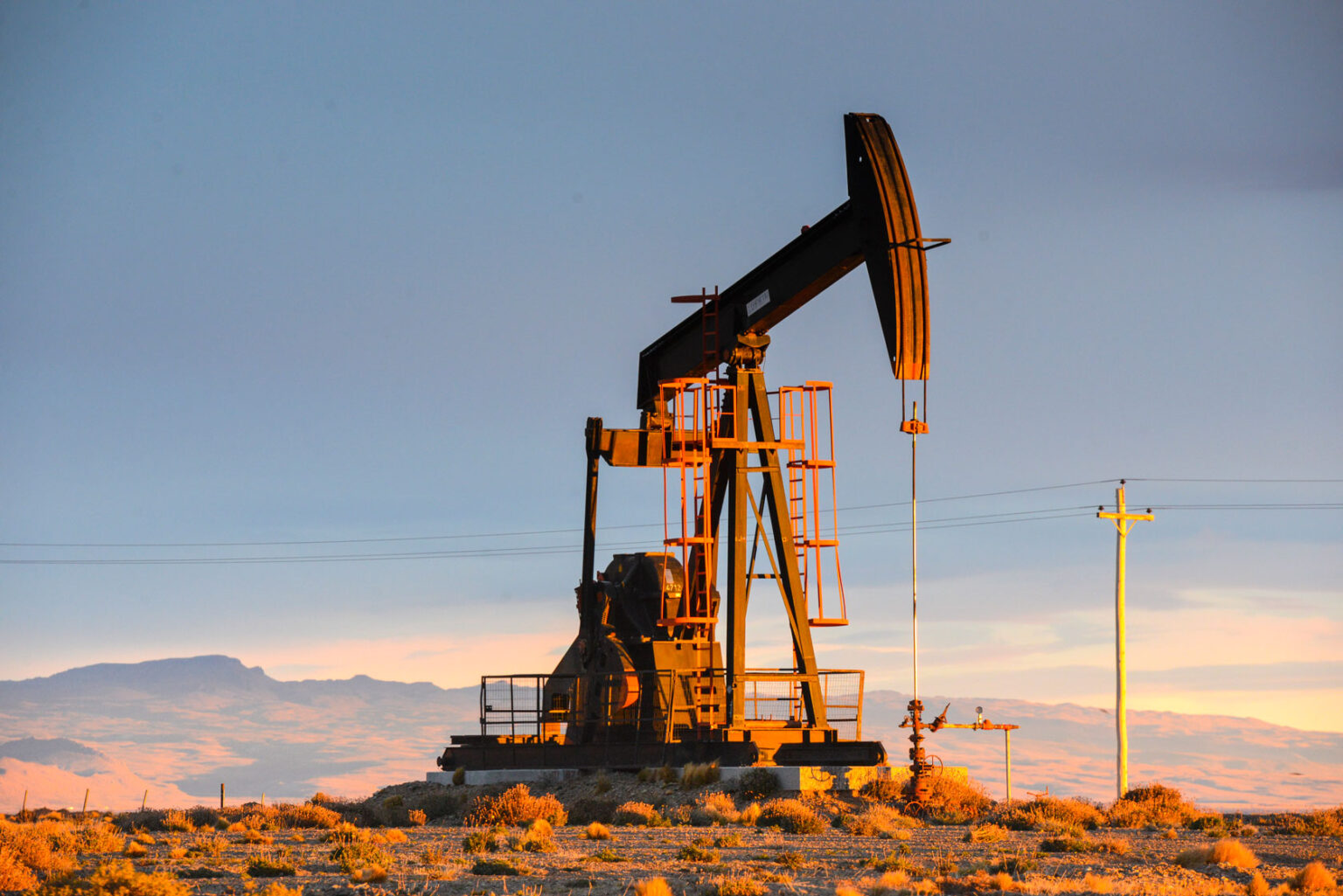 Phoenix Global Resources presenta declaración de comercialidad para áreas de Vaca Muerta en Río Negro