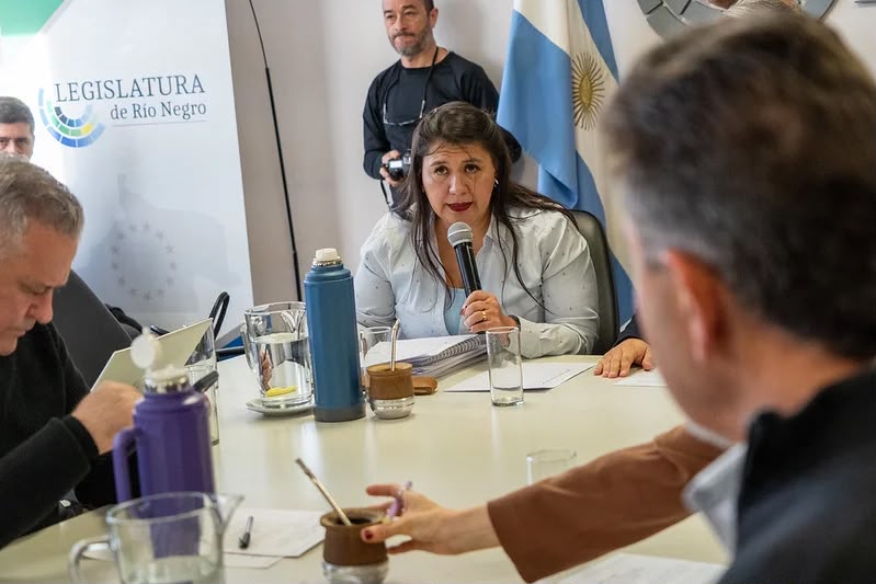 Piden convocar urgente a comisión interpoderes para elaborar un Código Procesal Penal Juvenil