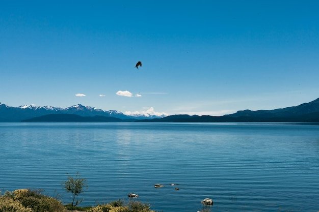 Presentan proyecto para monitorear de forma permanente la calidad del agua en lagos y arroyos de Bariloche