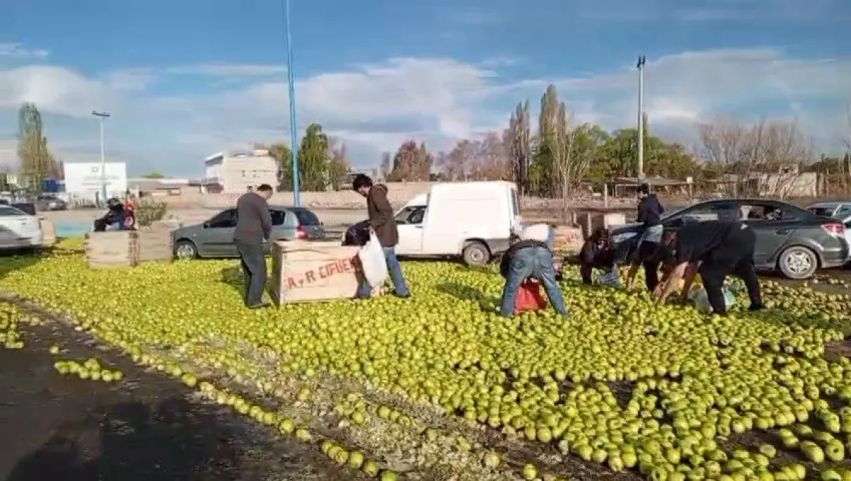 Productores frutícolas exigen obras urgentes por el deterioro de las rutas 22 y 151