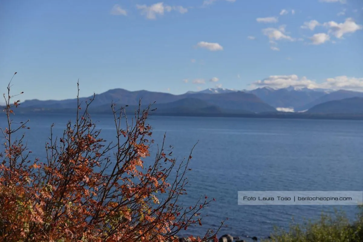 Pronóstico extendido: temperaturas bajo cero por las mañanas y tardes frescas en Bariloche