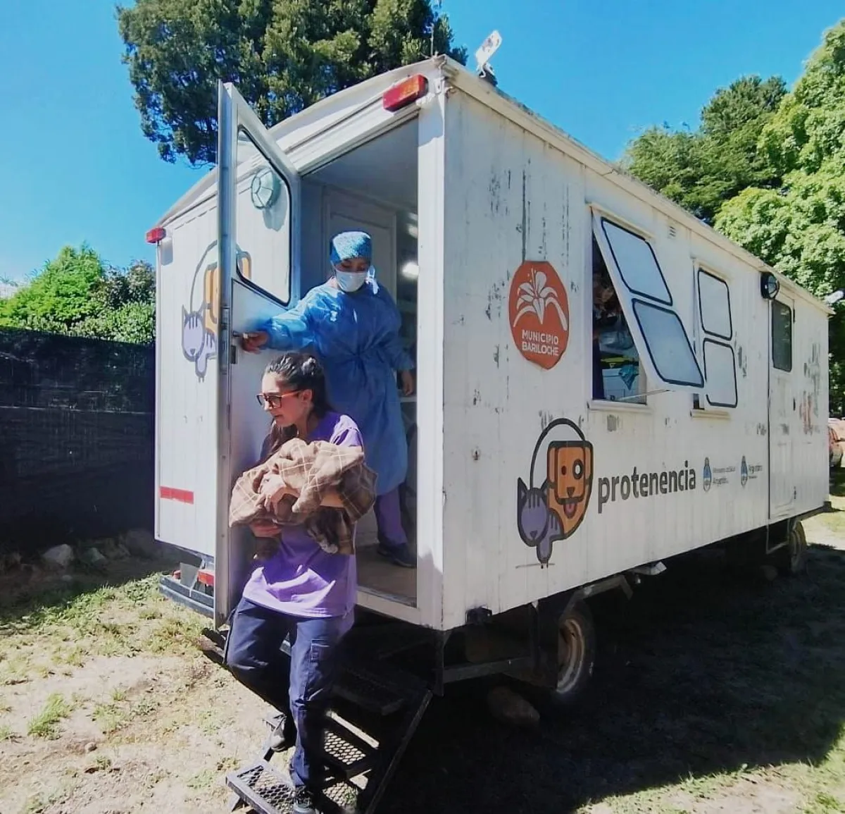 Proyecto propone crear un Hospital Veterinario Municipal Público en Bariloche