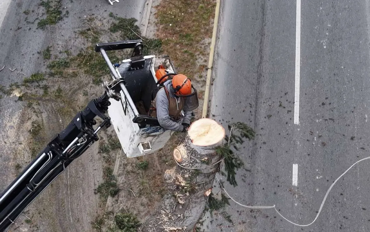 Reducen el tránsito en avenida 12 de Octubre por obras de renovación urbana en la Costanera